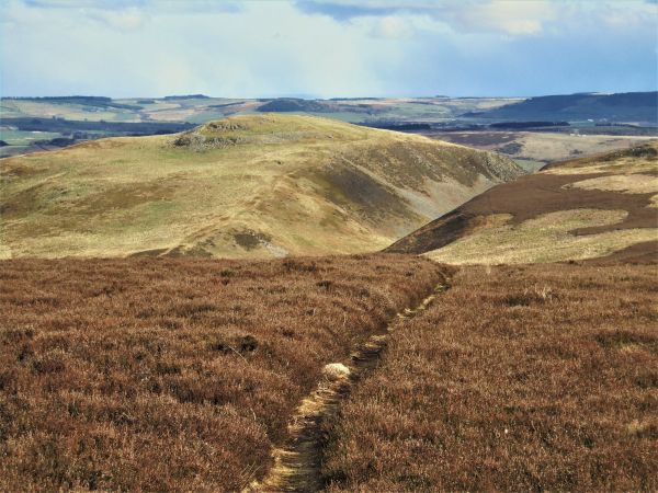 Humbleton Hill from Gains Law